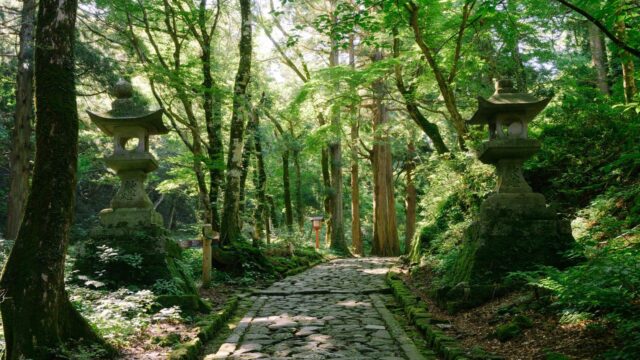 宗教法人の不動産売却に潜むリスクとは