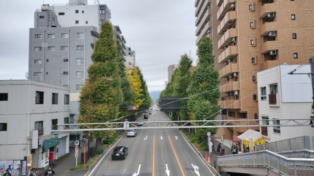 八王子いちょう祭り　完歩